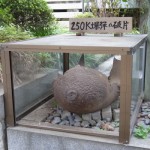 photo_02[1]